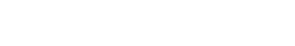 Radio Flyer